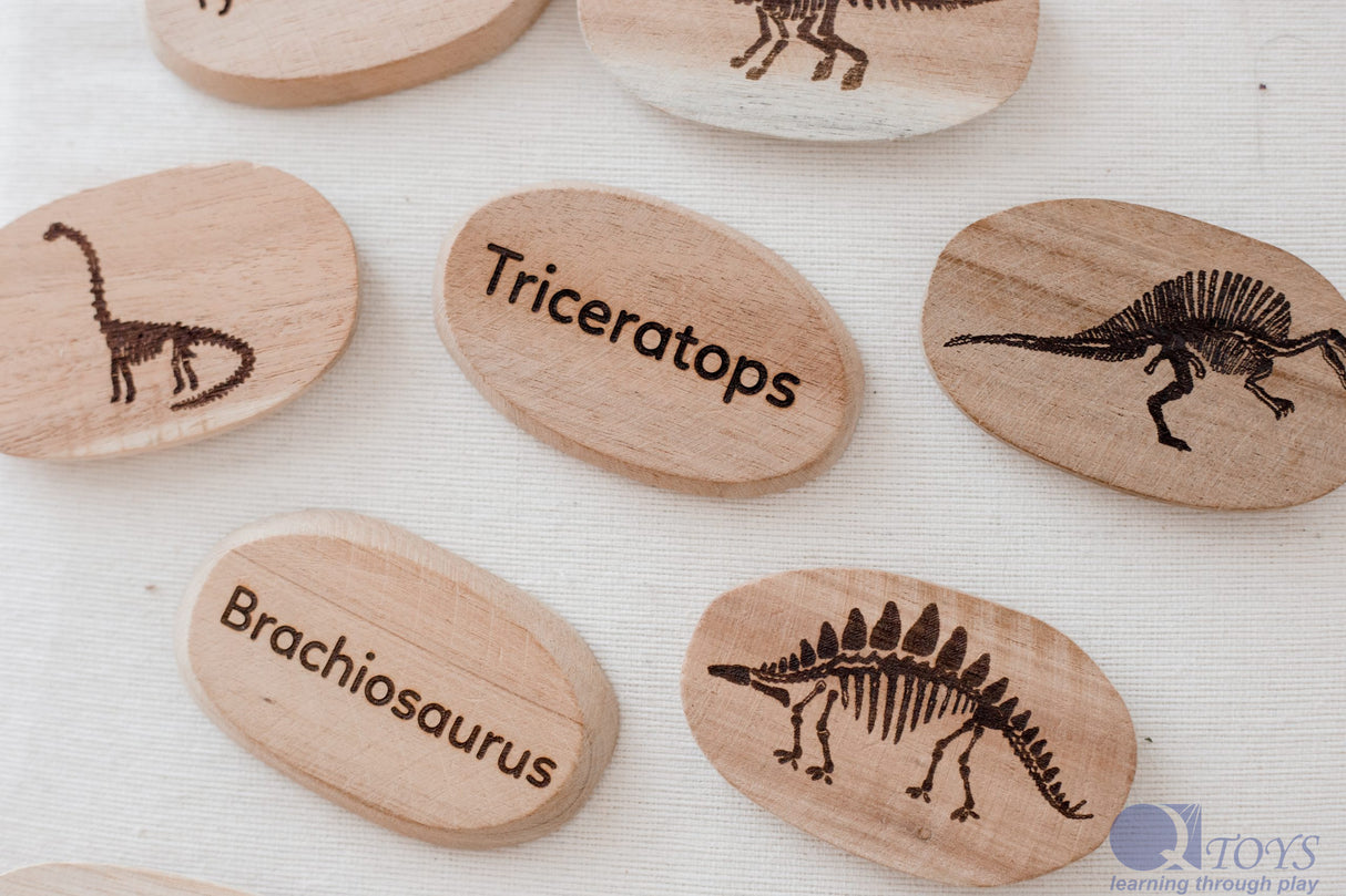 Dinosaur Stones Set of 10