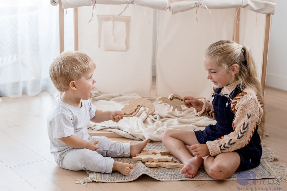 Dinosaurs – Set of 5