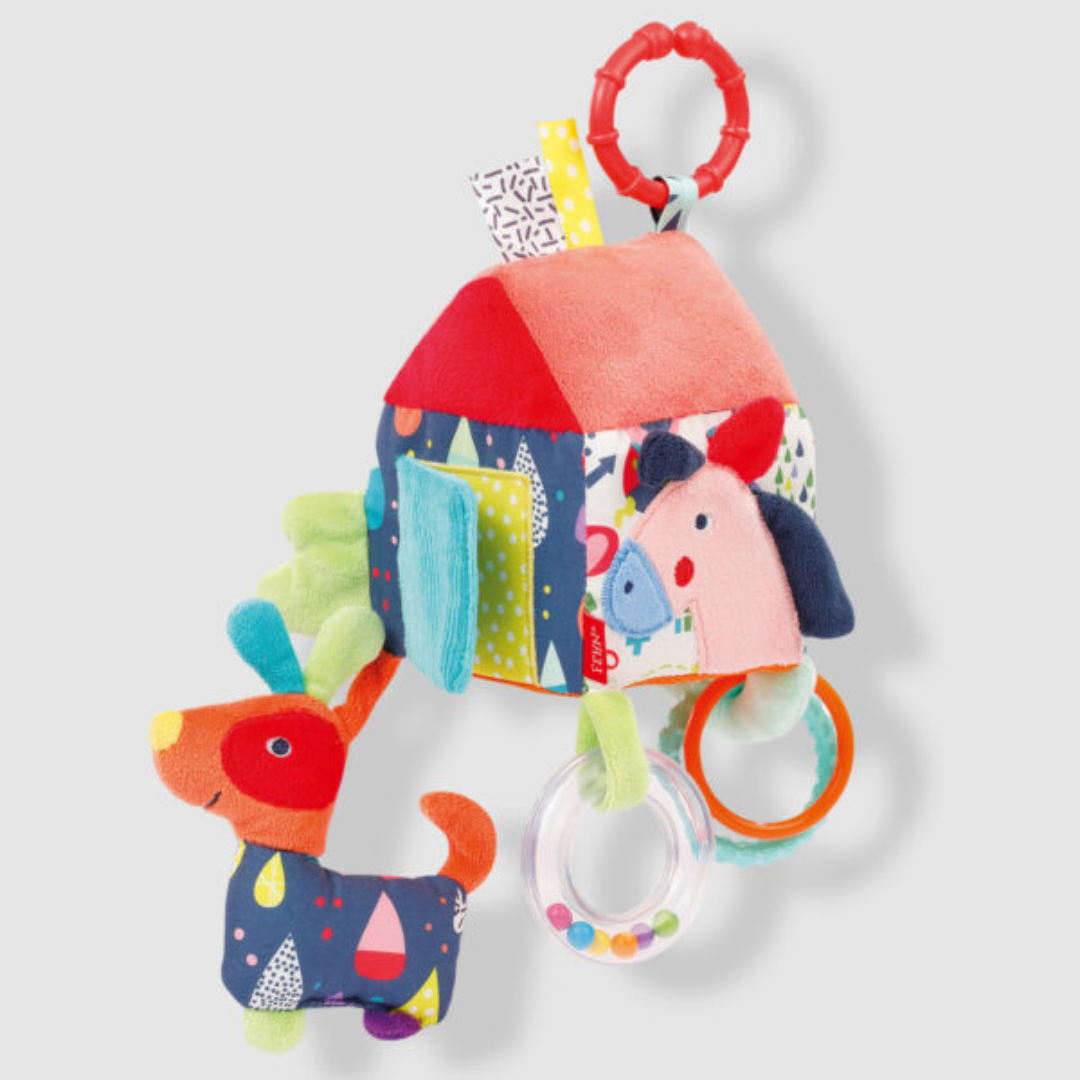 Activity House