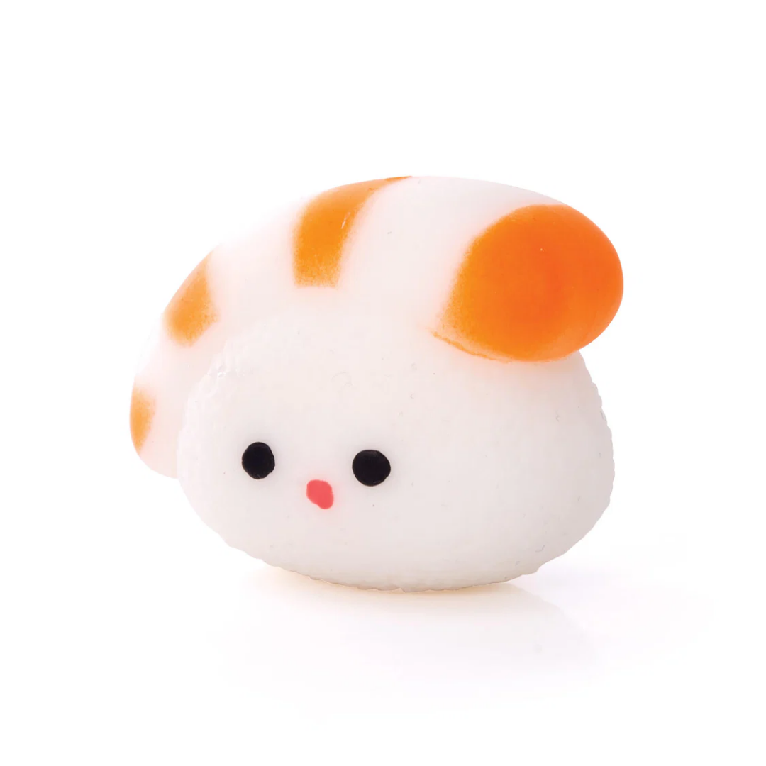 Squishy Sushi