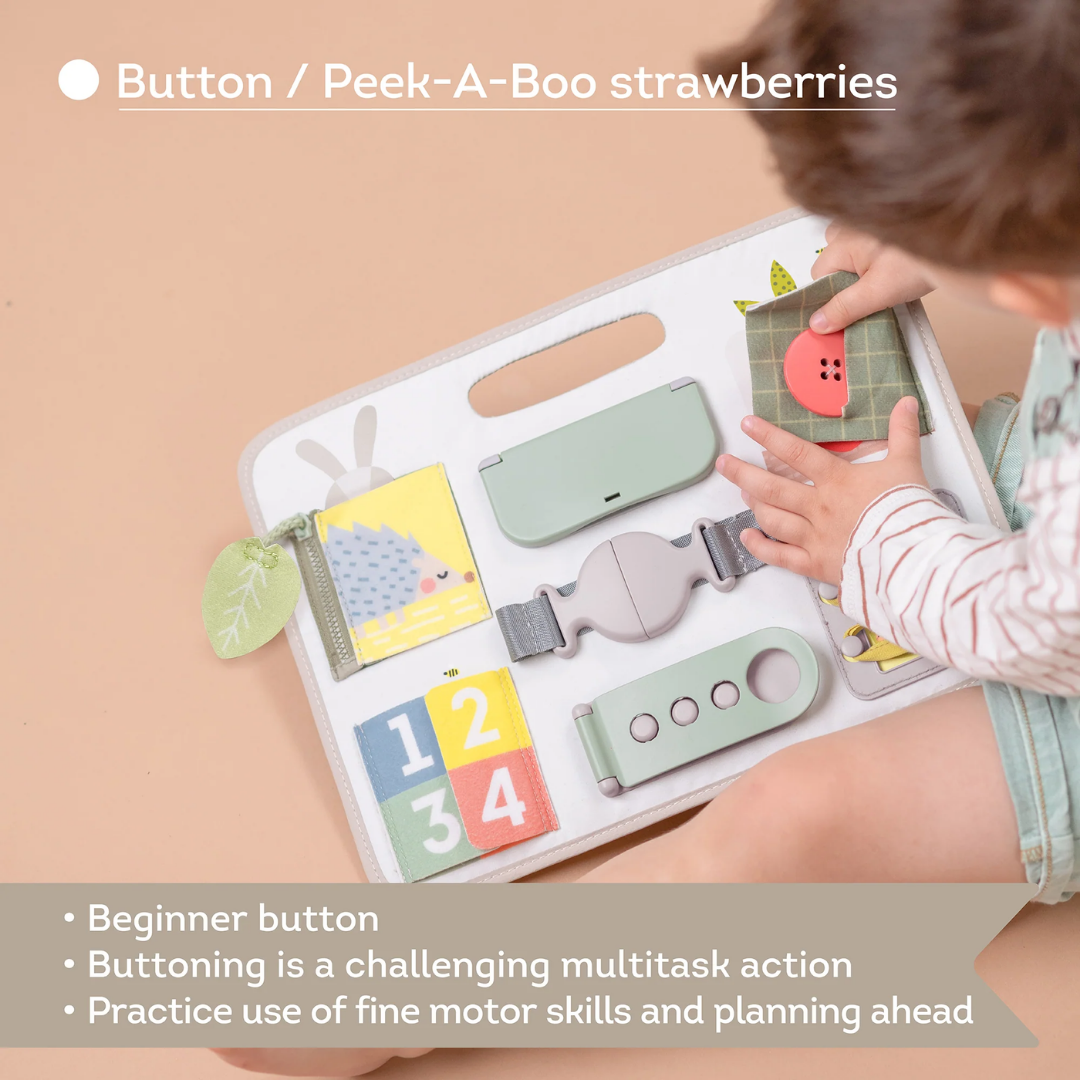 Activity Buckles Board