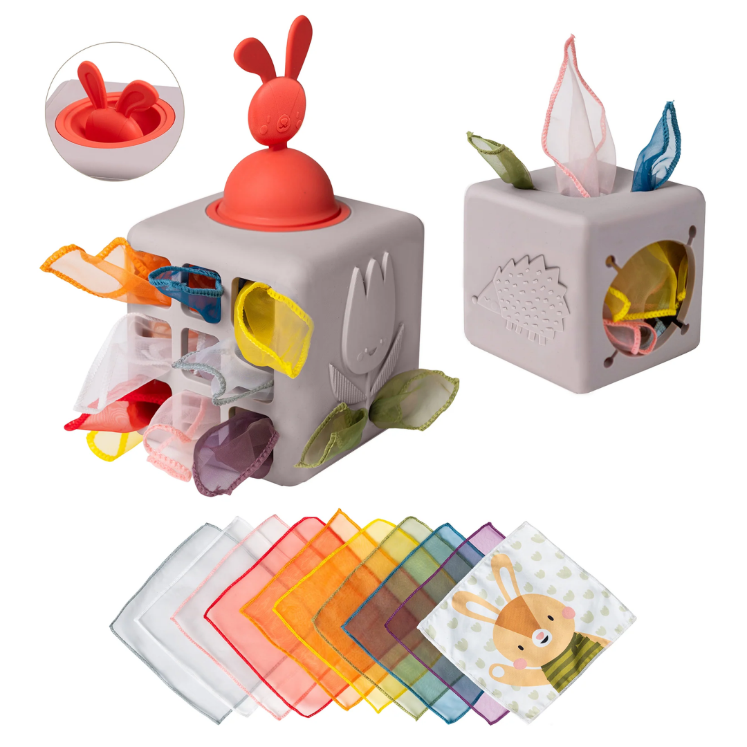 Pop-up Tissue Box