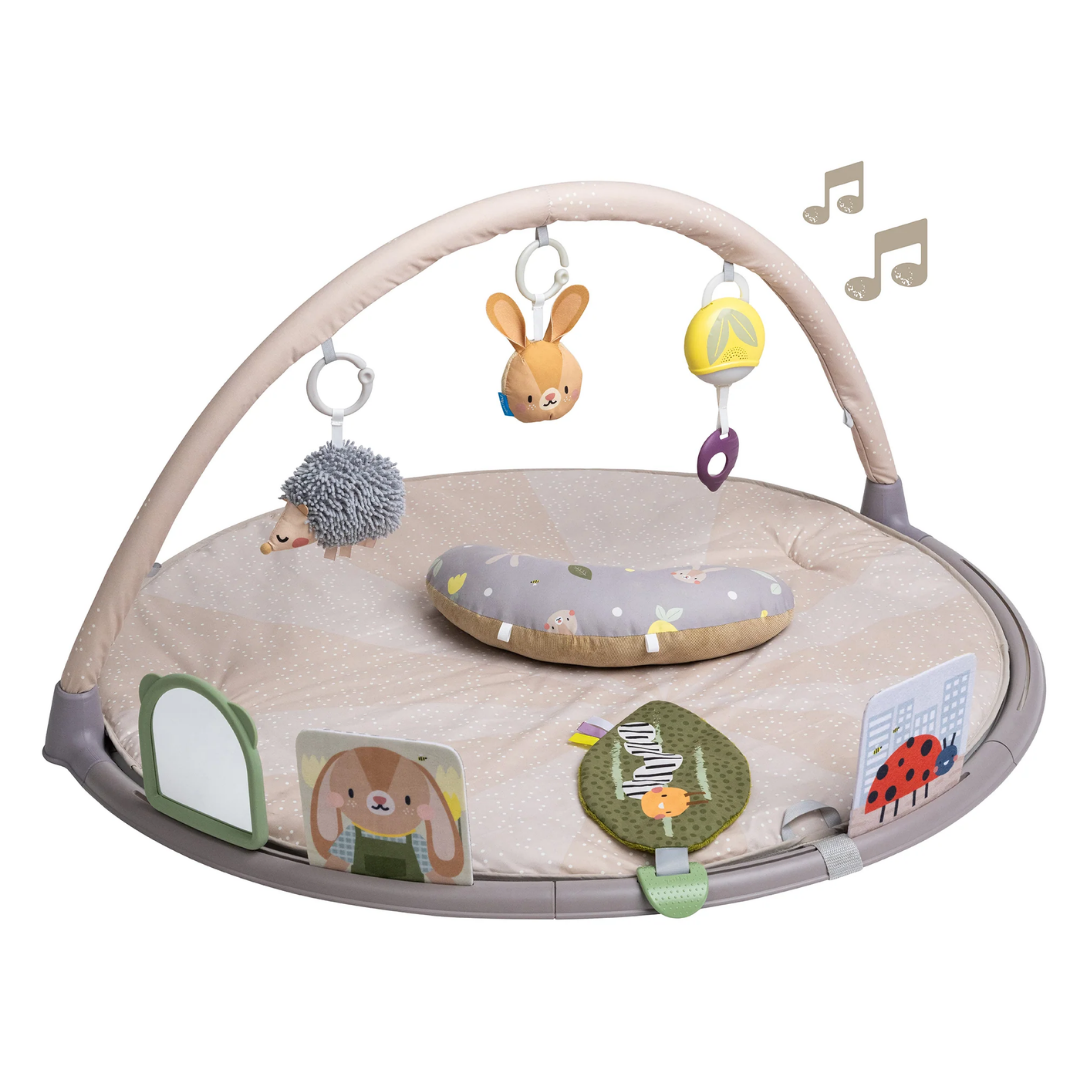 Tummy Time Activity Gym