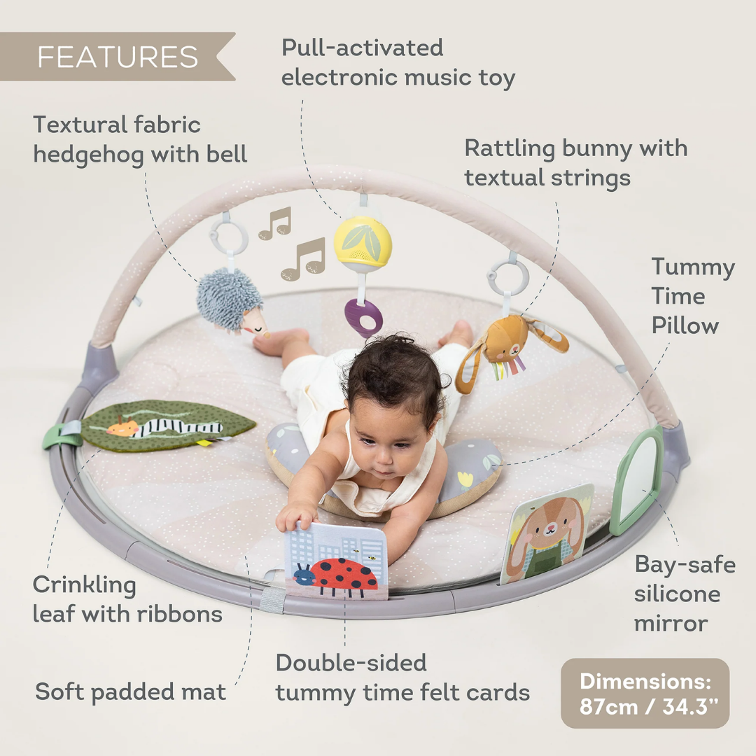 Tummy Time Activity Gym