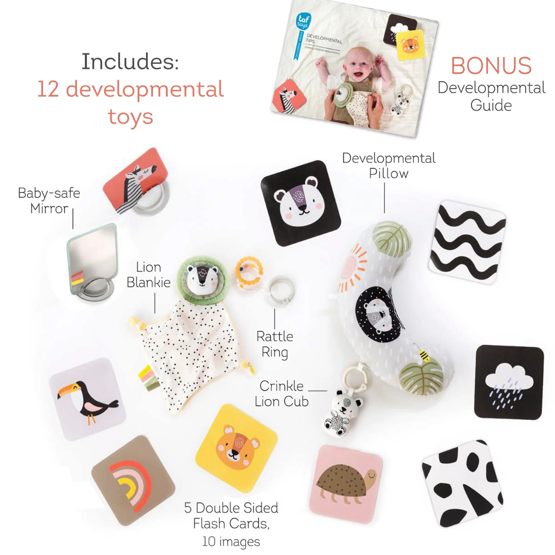 Newborn Develop Play Kit