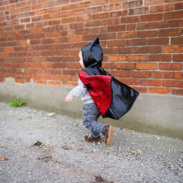 Toddler Reversible Spider & Bat Cape - Size 2-3T