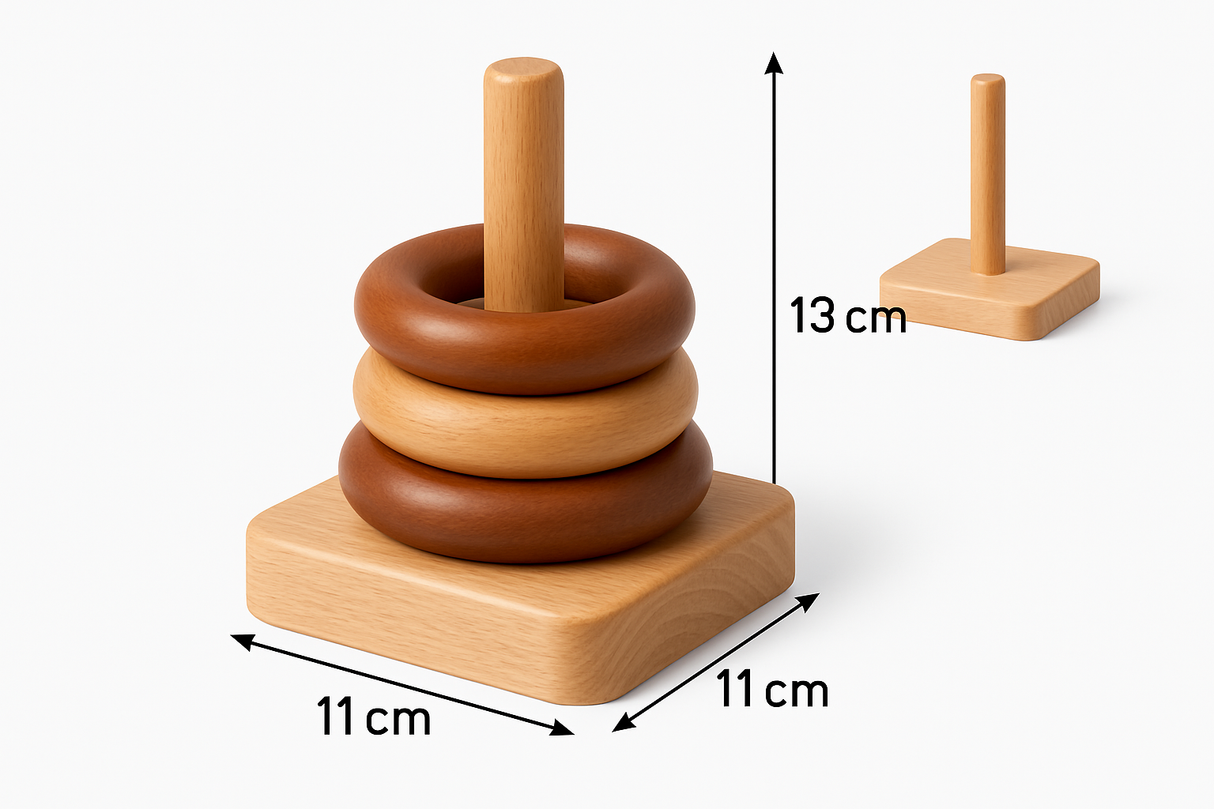 Montessori Sorting Rings