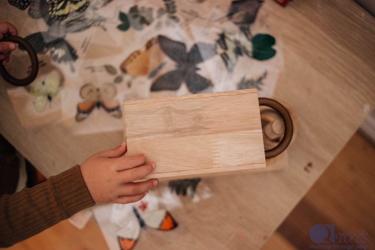 Wooden Montessori Rings Activity