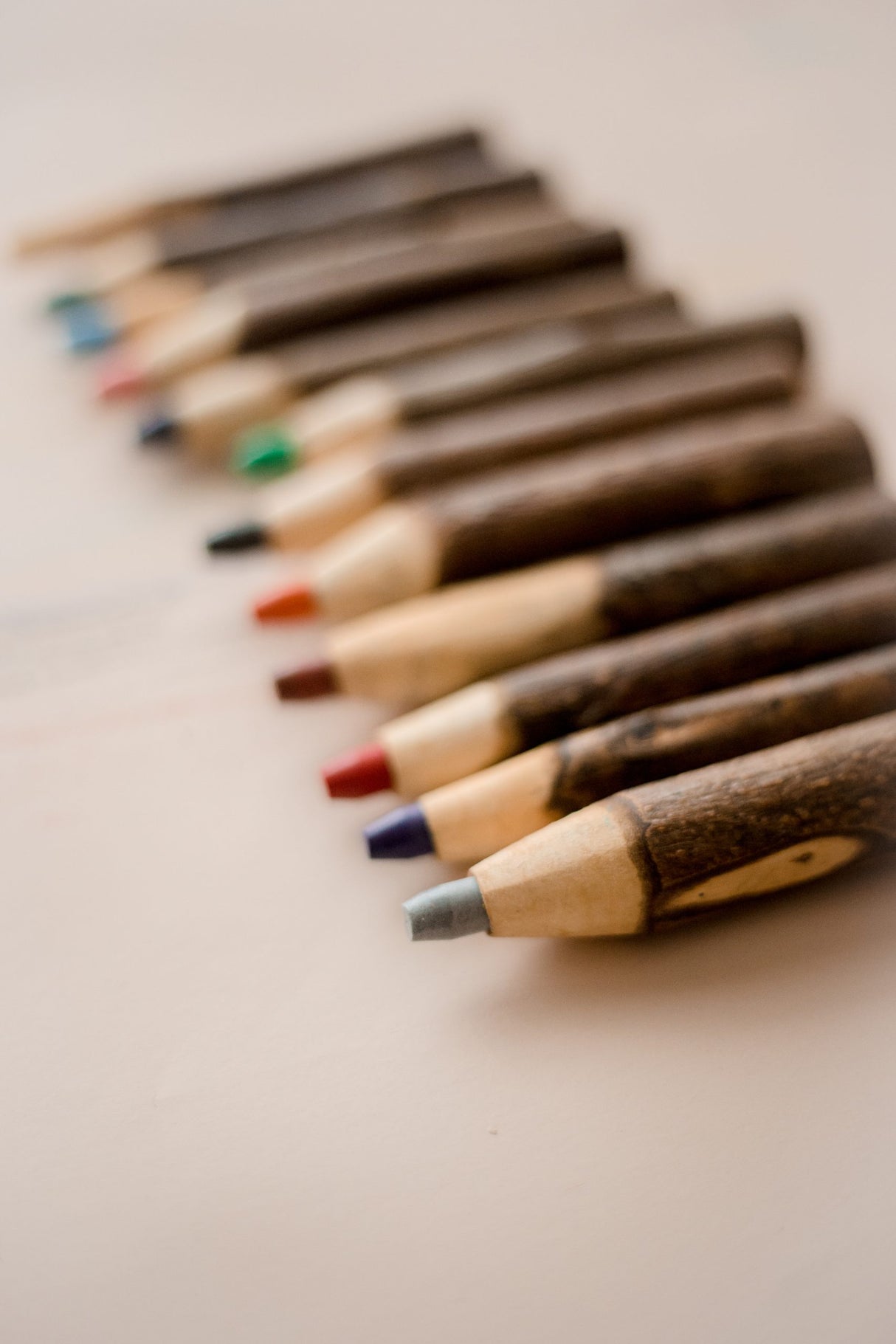 Tree Colour Pencil Set