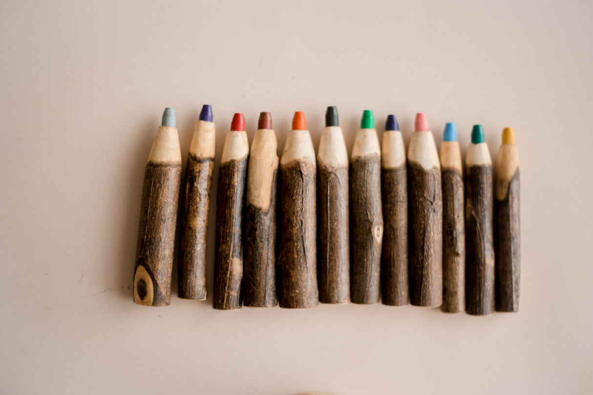 Tree Colour Pencil Set