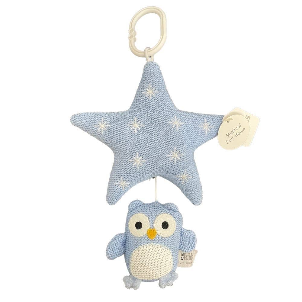 Knitted Musical Owl - Blue
