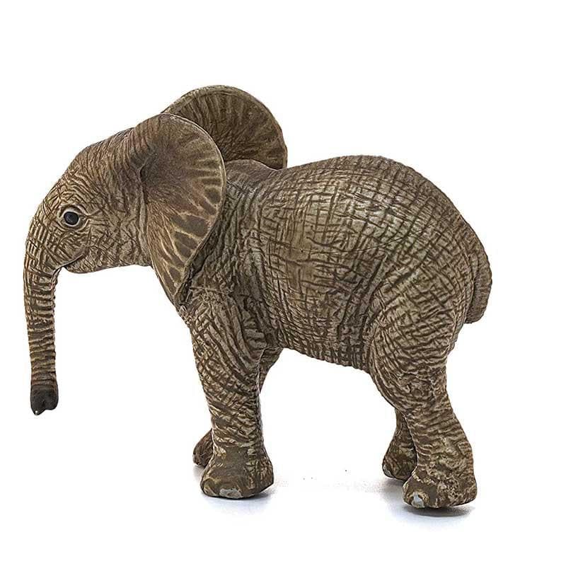 African Elephant Calf