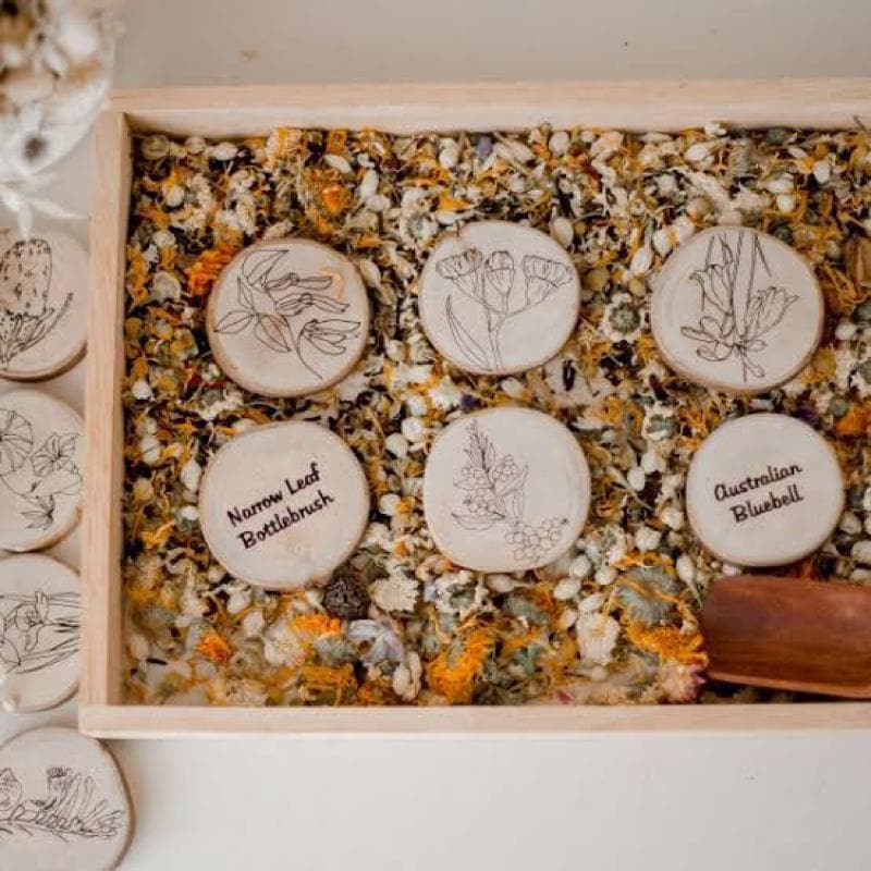 Australian Flora Set of 10