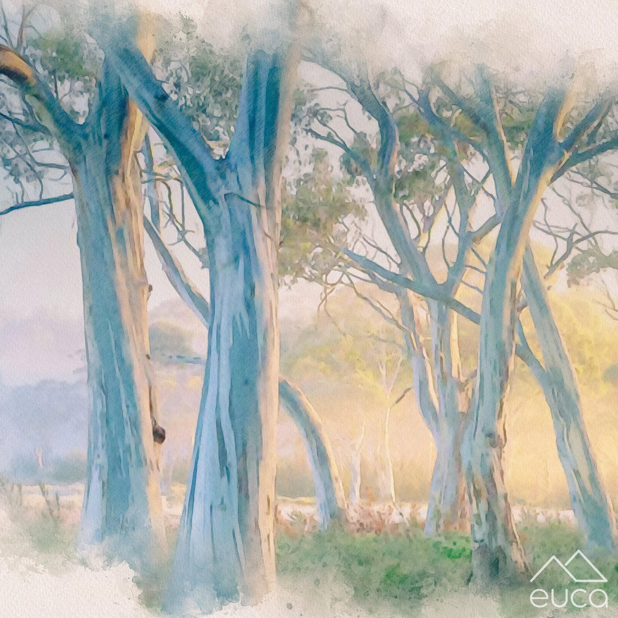 Autumn Gum Trees