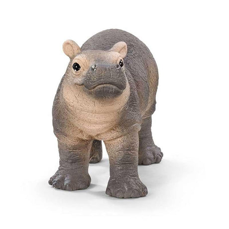Baby Hippopotamus