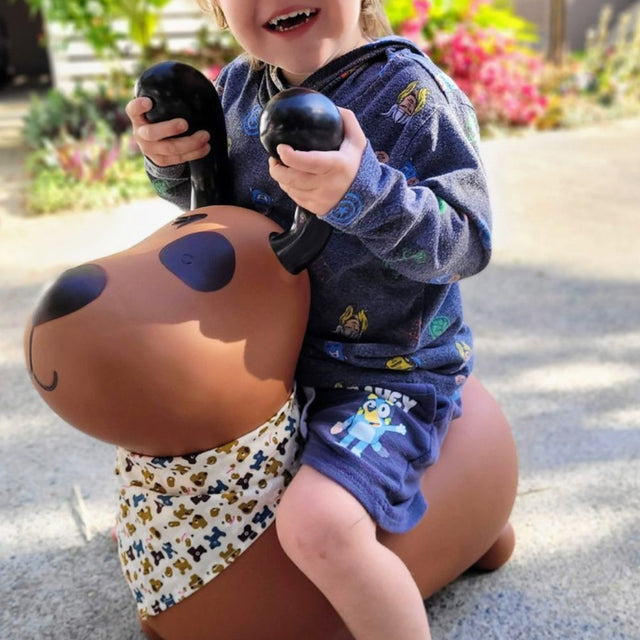 Bouncy Rider Pudding The Dog