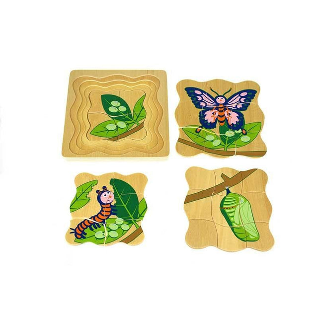 Butterfly Life Cycle 4 Layers