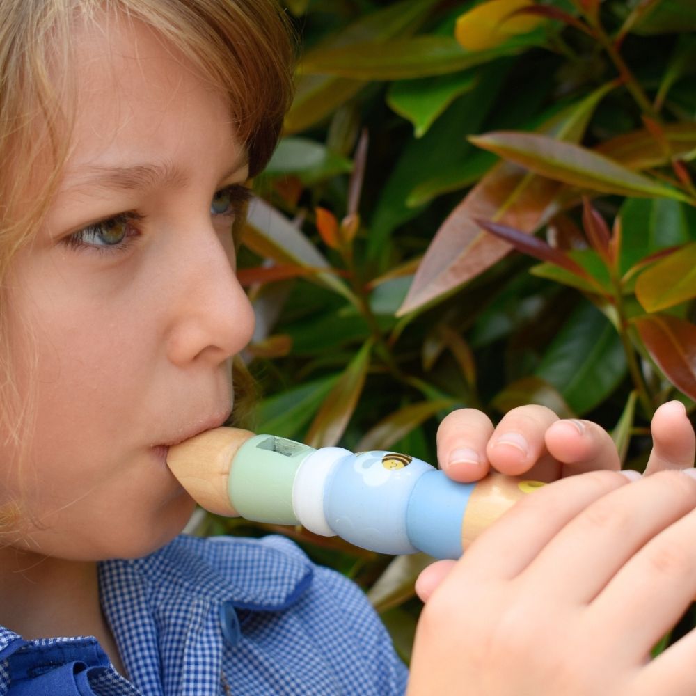 Buzzy Days Bee Rainbow Recorder