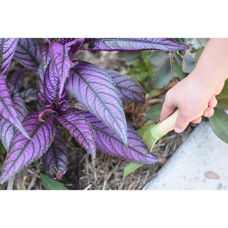 Calm and Breezy - Kid's Garden Tool Apron