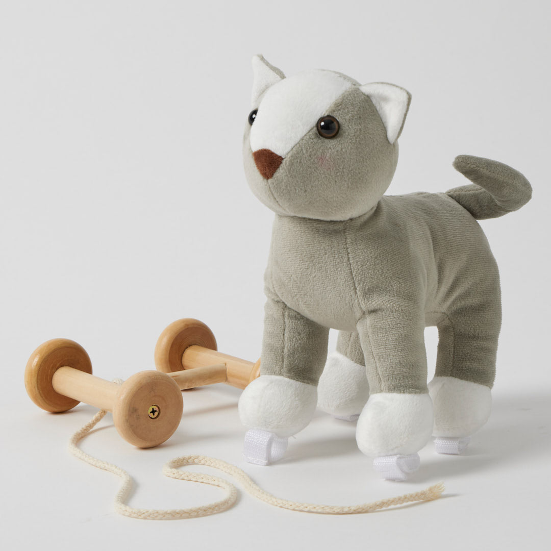 Cat Plush Pull Along
