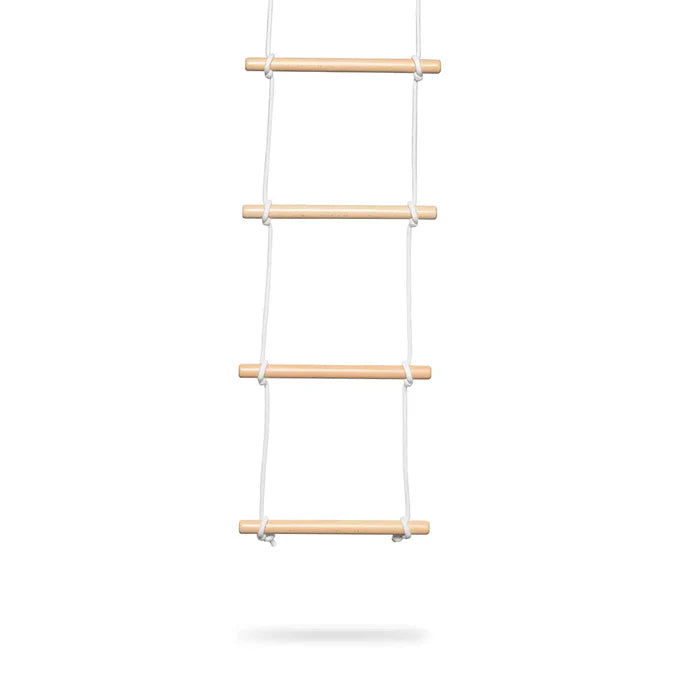 Climbing Ladder