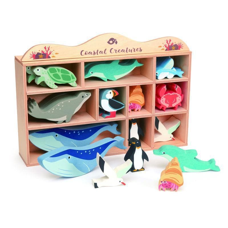 Coastal Animals Display Shelf Set