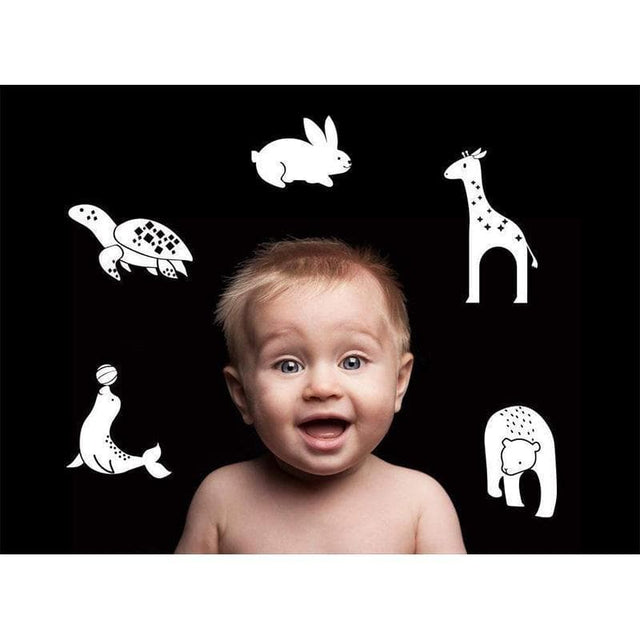 Cognitive Flash Cards - Black & White