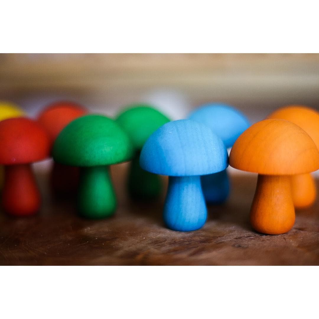 Coloured Mushrooms (Set of 10)