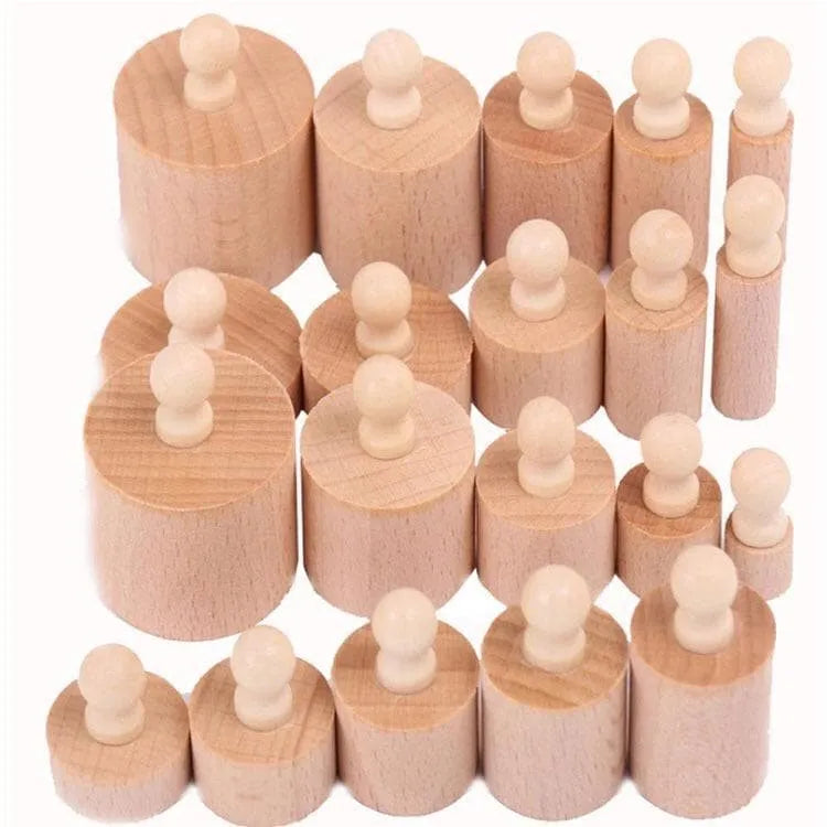 Cylindrical Wooden Sorting Blocks