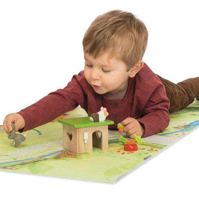 Daisylane Bunny With Guinea Pig