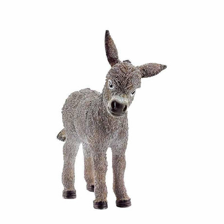 Donkey Foal