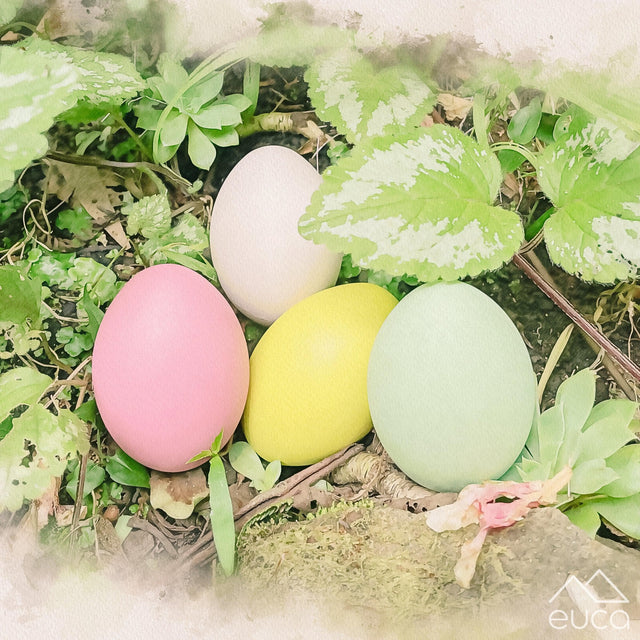Eggs from the Forest