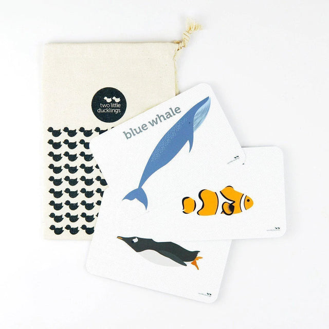 Flashcards Sealife