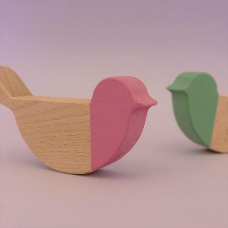 Forest Birds