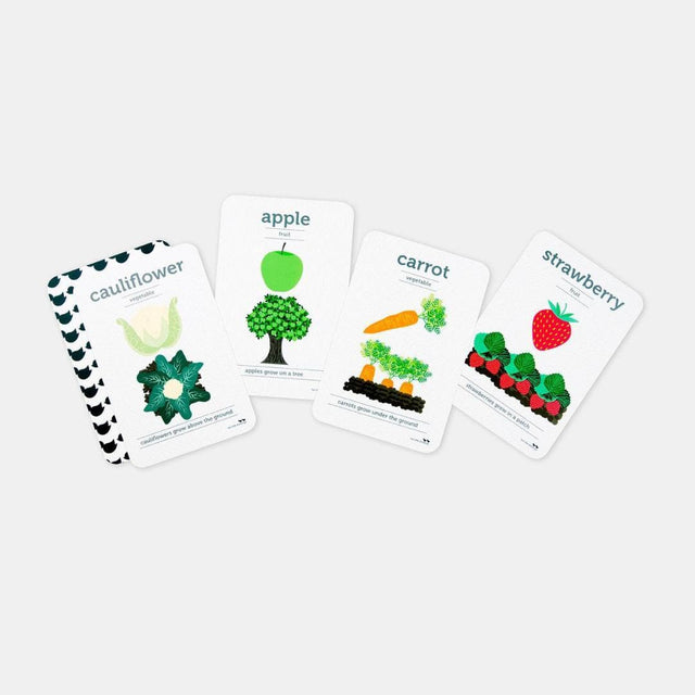 Fruit and Vegetable Flash Cards