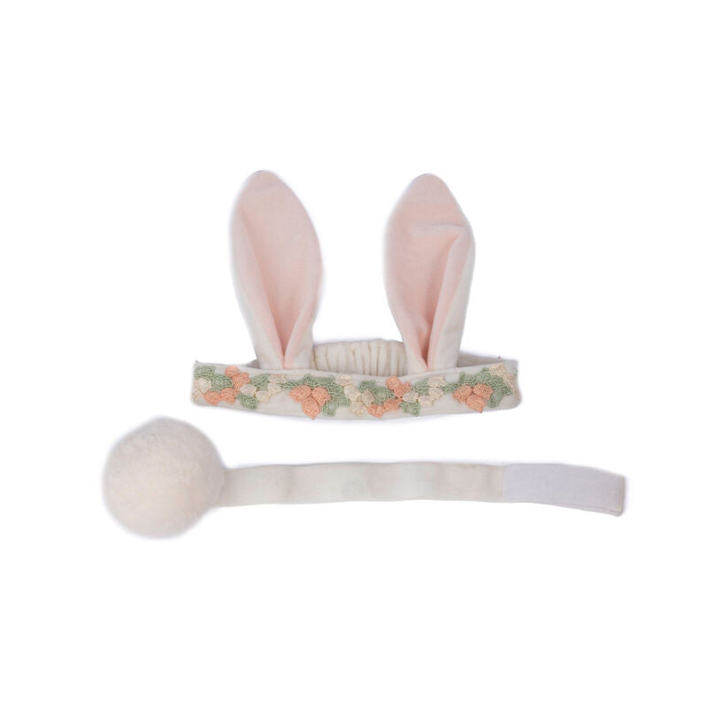 Hippity Hop Bunny Ears & Tail Set
