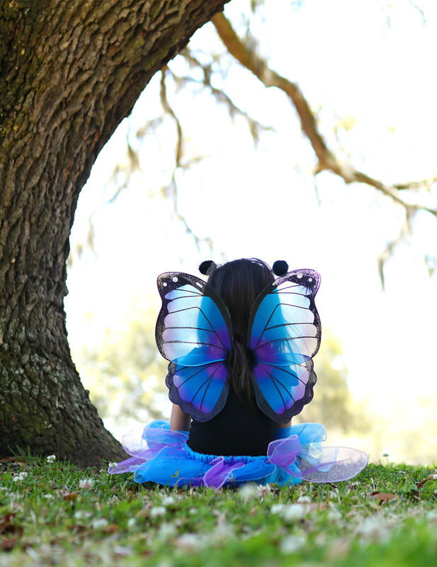 Midnight Butterfly Tutu with Wings & Headband