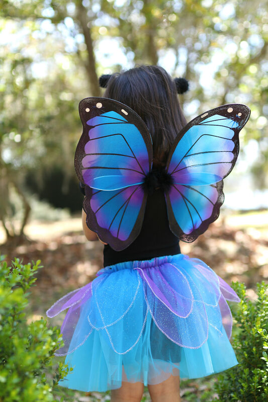 Midnight Butterfly Tutu with Wings & Headband