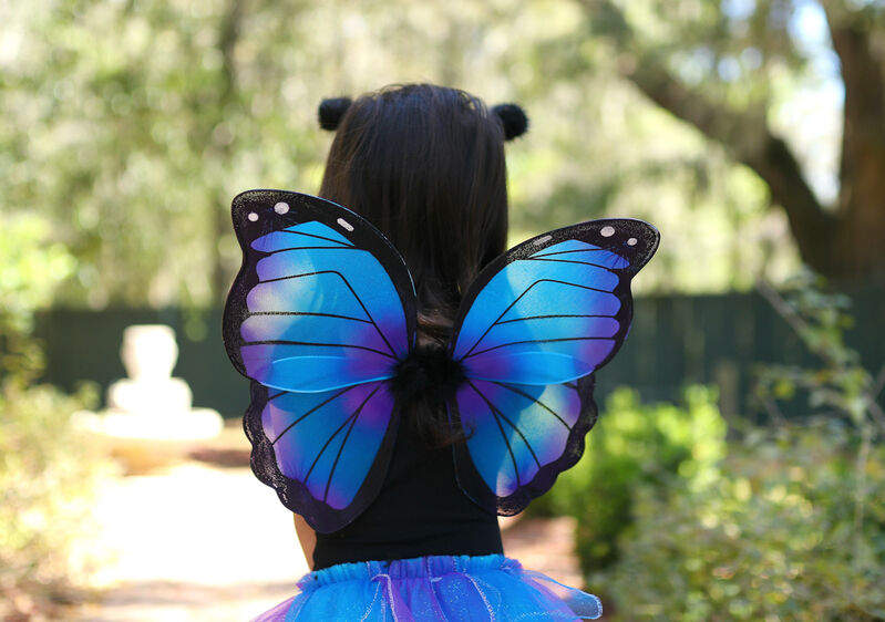 Midnight Butterfly Tutu with Wings & Headband