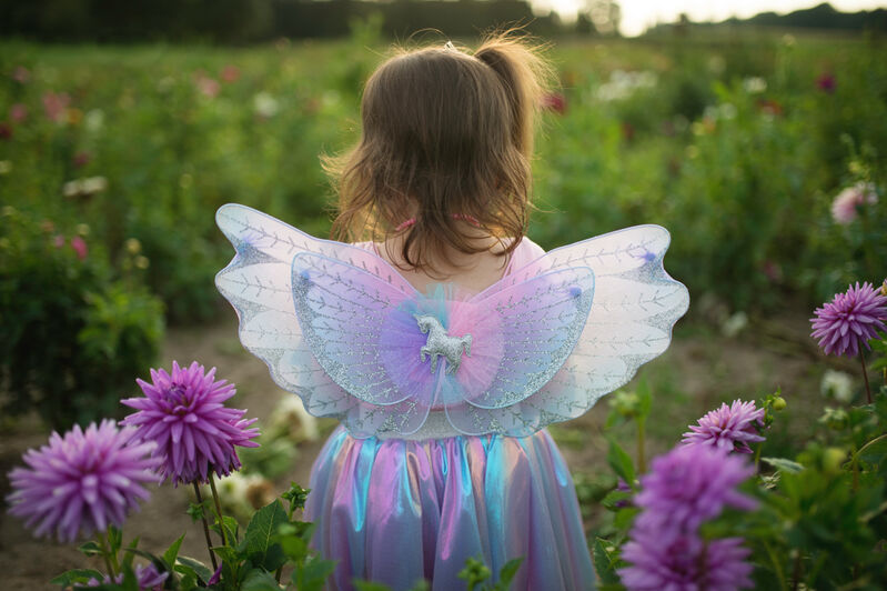 Pastel Magical Unicorn Skirt & Wings Size 4-6
