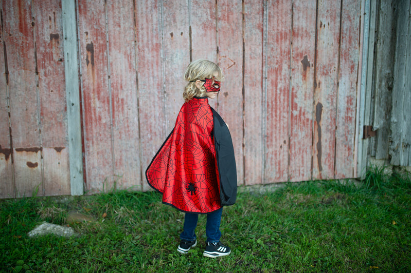 Reversible Spider & Bat Cape with Mask