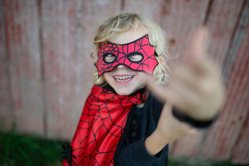Reversible Spider & Bat Cape with Mask