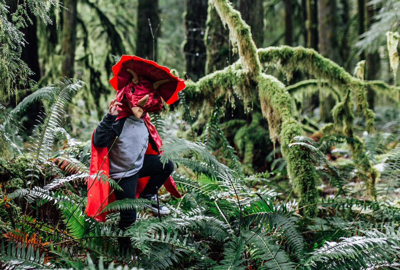 Red Triceratops Hooded Cape