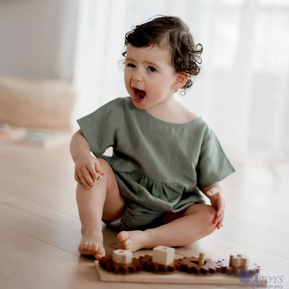 Gear Puzzle Play Set