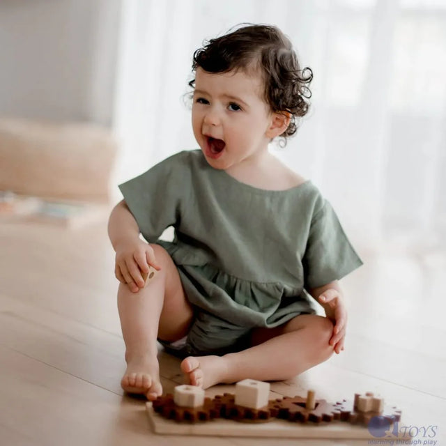 Gear Puzzle Play Set