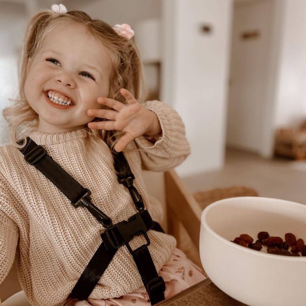 Harness for Dine and Grow Chair