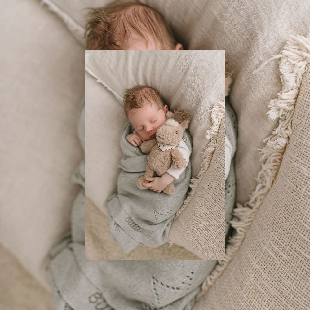 Harvey the Horse Rattle