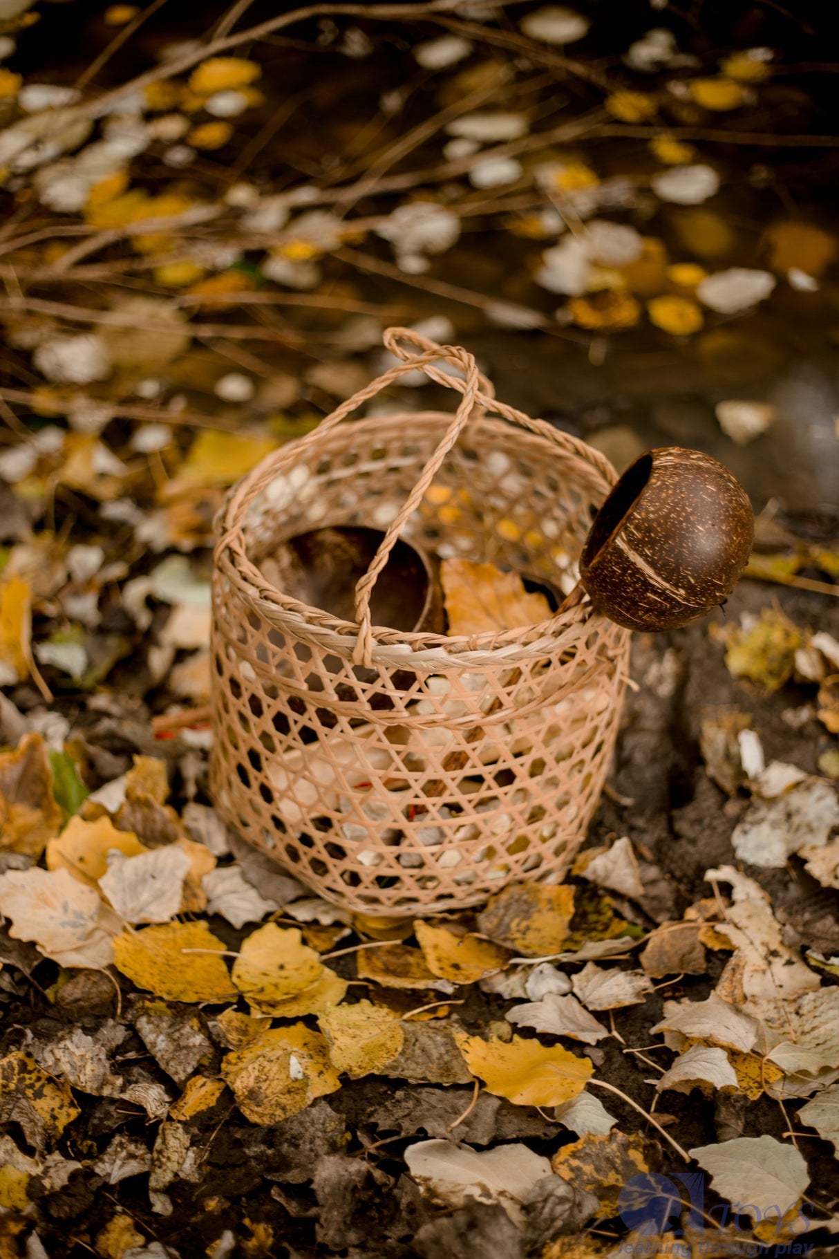 Beach Play Basket