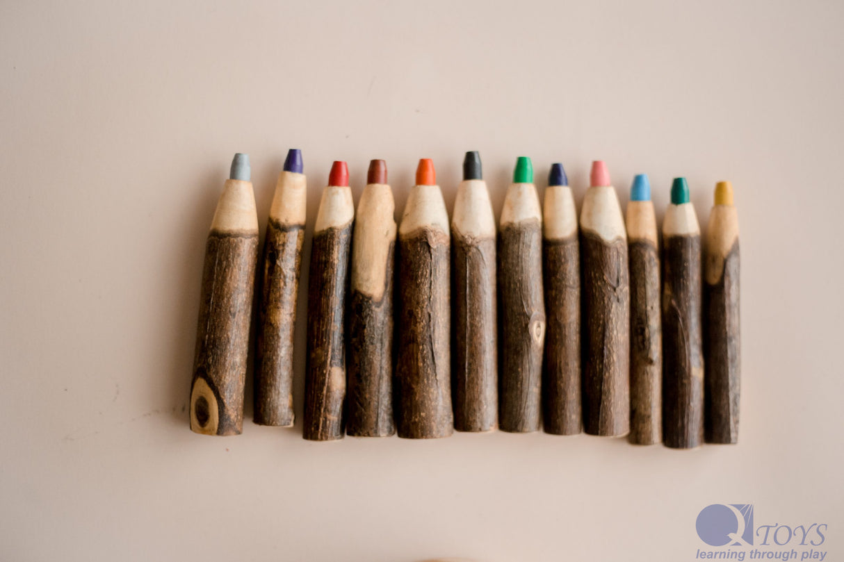 Tree Colour Pencil Set