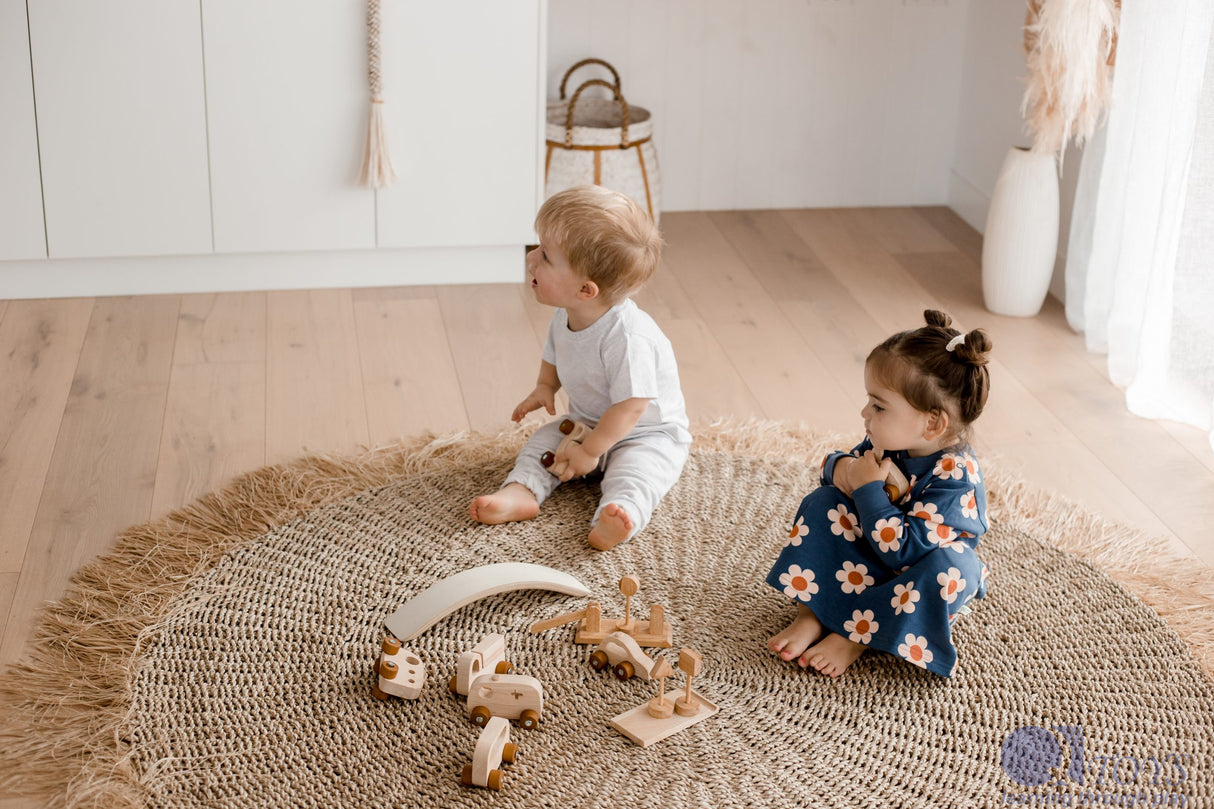 Vehicle Play Set